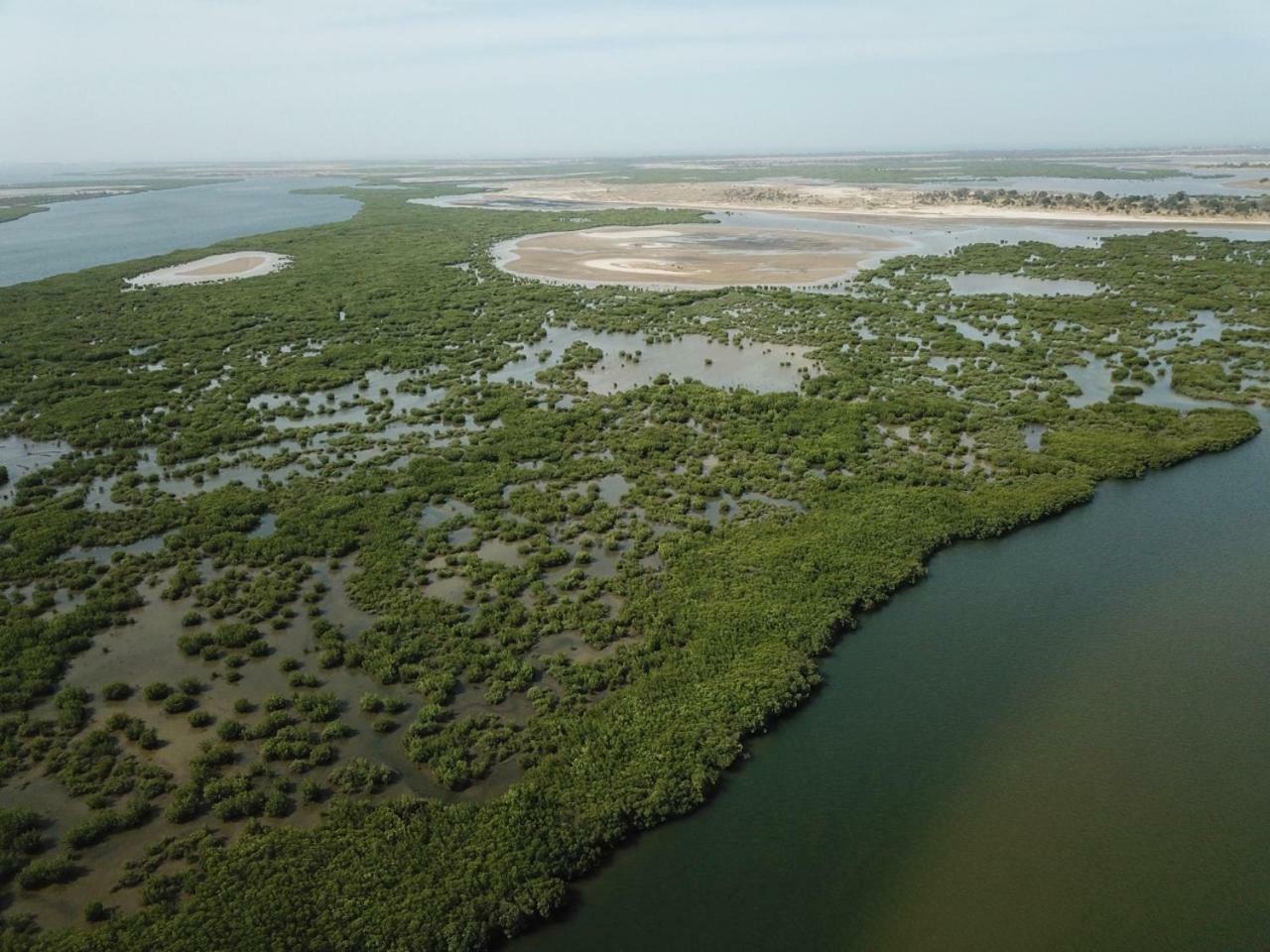Le Pelican Du Saloum Sine-Saloum Exteriör bild